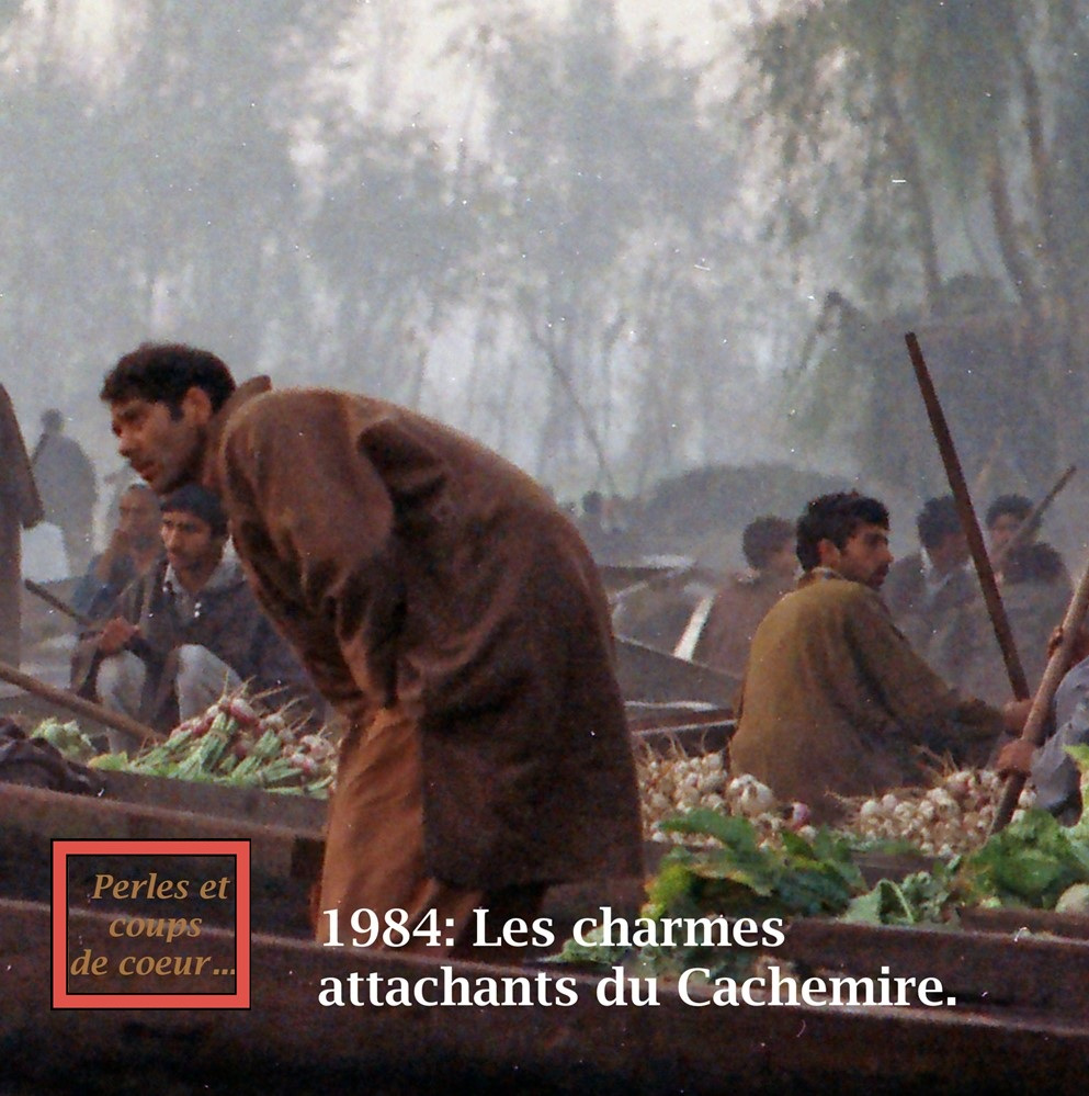 Cachemire 1984